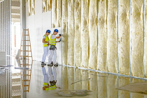 Best Residential Insulation in Belvedere, CA
